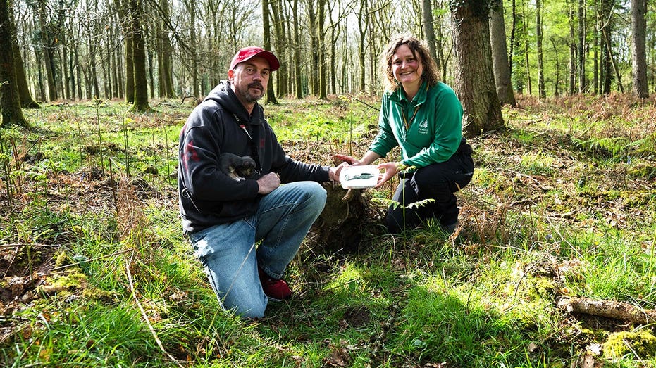 Dog walker's routine stroll turns into 'incredible' 3,000-year-old discovery in picturesque forest School Find